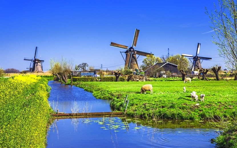 Windmühlen von Kinderdijk